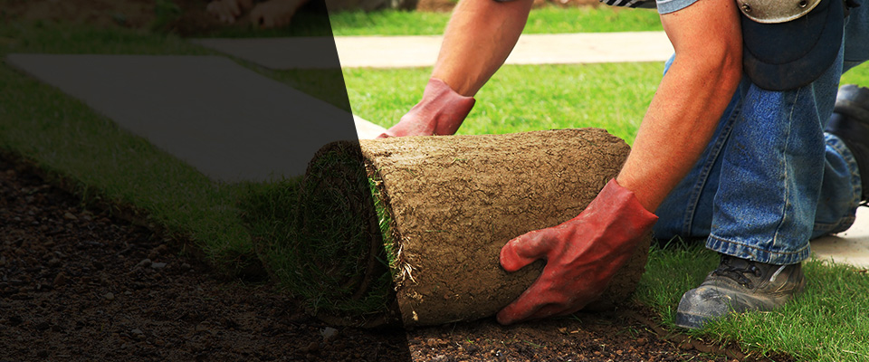 Johnson City Landscapers